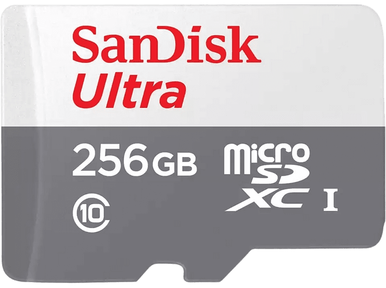 SANDISK Carte mémoire microSDHC Ultra 256 GB (SDSQUNR-256G-GN3MN)
