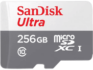SANDISK Carte mémoire microSDHC Ultra 256 GB (SDSQUNR-256G-GN3MN)