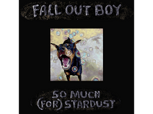 Charger l&#39;image dans la galerie, Fall Out Boy - So Much (For) Stardust CD

