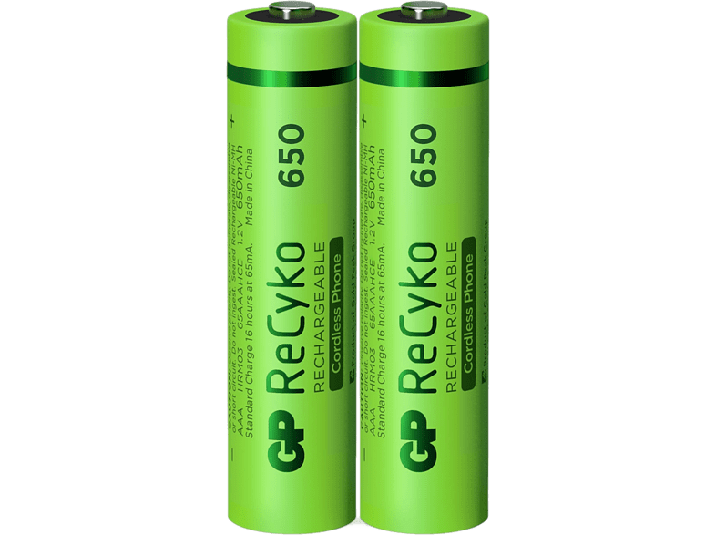 GP BATTERIES Piles AAA rechargeables ReCyko 650 mAh 2 pièces (GP65AAAHCE-2APCEWB2)