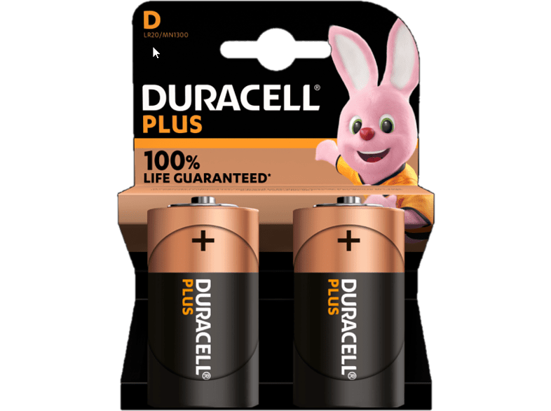 DURACELL Piles D Alcalines Plus Pack 2 (5000394141988)