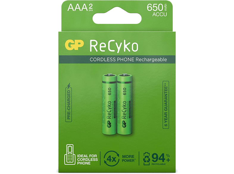 GP BATTERIES Piles rechargeables Recyko 2 x AAA 650 mAh (GP65AAAHCE-2APCBNB4)
