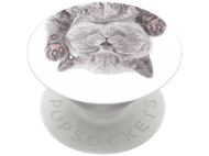 POPSOCKETS PopGrip interchangeable Cat Nap (800947)