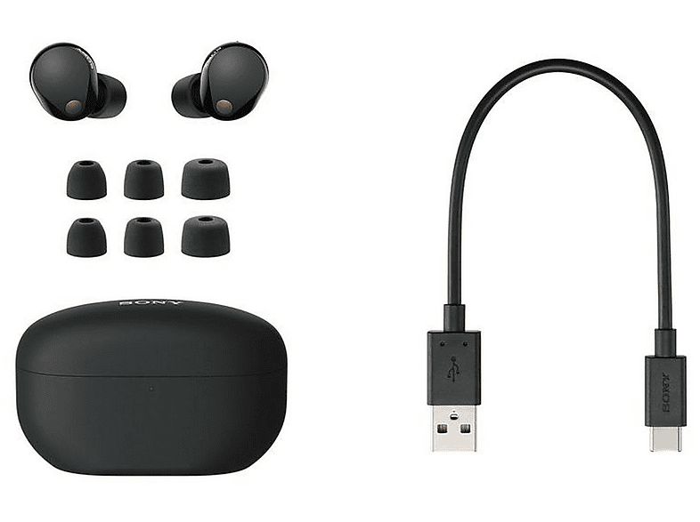 Acheter Écouteurs sans fil à réduction de bruit WF-1000XM5, Noir, Boutique en ligne Sony