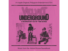 Charger l&#39;image dans la galerie, The Velvet Underground - The Velvet Underground: A Documentary Film By Todd - LP
